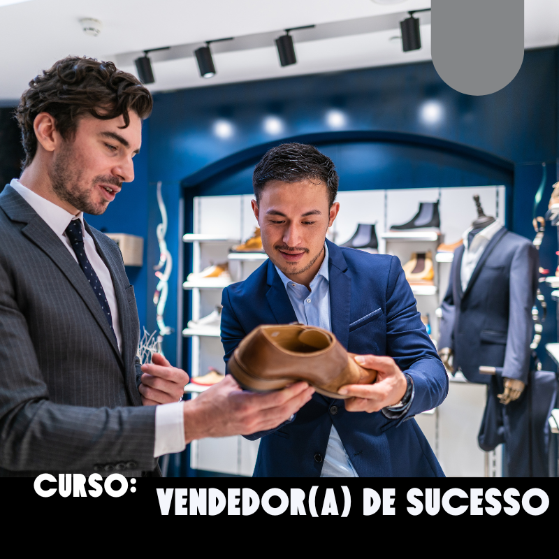 Vendedor de Sucesso