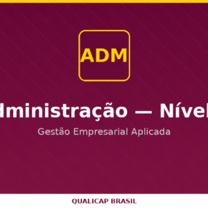 Administração de Empresas — Nível 2